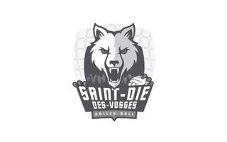Saint-Dié-des-Vosges Volley-Ball