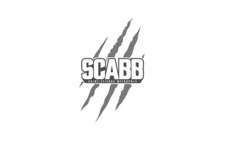 SCABB — Saint-Étienne Basket